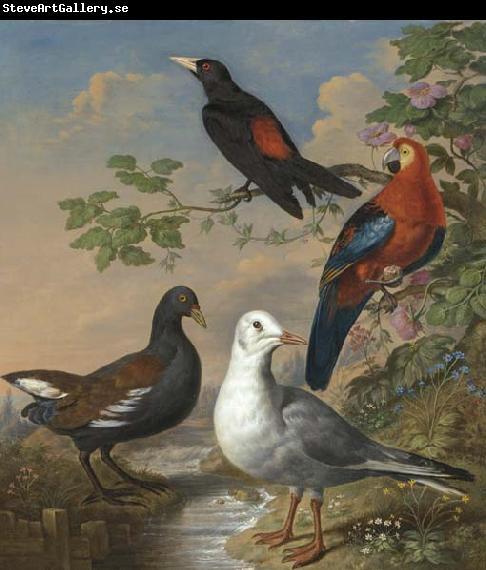 Philip Reinagle A Moorhen, A Gull, A Scarlet Macaw and Red-Rumped A Cacique By a Stream in a Landscape